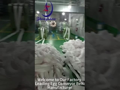 Precision in Egg Conveyor Belt Manufacturing | Factory Production Process