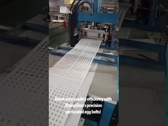 ZhongShen Perforated Egg Belt: Engineered for Poultry Farm Efficiency