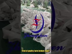 先進的な多層家禽ケージ Zhongshen 卵輸送ベルト