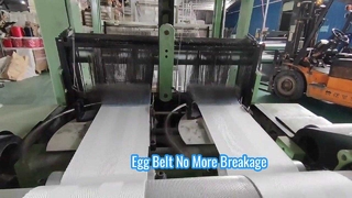 Efisiensi Peternakan Unggas Sabuk Konveyor Telur