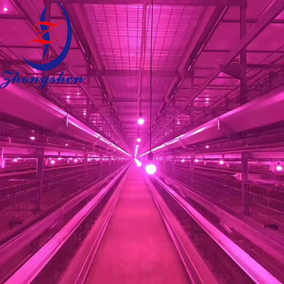 Guter Preis Schalldämpfbare LED-Glühlampe Geflügelbeleuchtung Wasserdicht für Hühnerfarmen Online