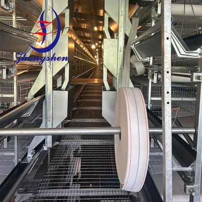 Bom preço Faixa transportadora de ovos de PP durável para fazendas de aves automatizadas. on-line