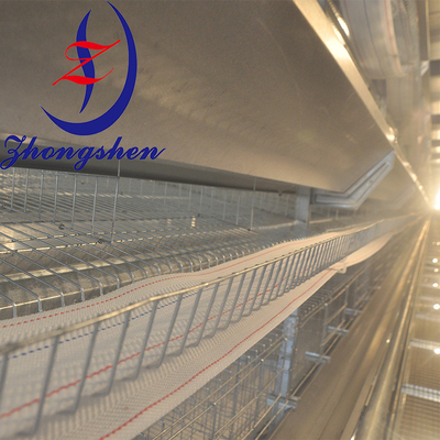 PP Egg Conveyor Belt for Poultry Farms 95mm Width Low Breakage