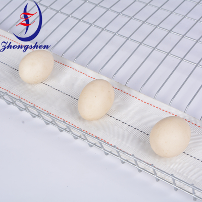 Zhongshen Premium Nylon Egg Conveyor Belt PP2 For Poultry Chicke Farm