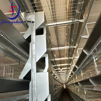 Giá tốt. Lớp Chicken Cage phụ kiện Automatic Feeder Trough Wheel trực tuyến