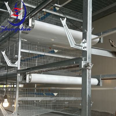 Harga yang bagus Zhongshen Baja Unggas Conveyor Belt ️ Sistem Pembersihan Baja Unggas on line