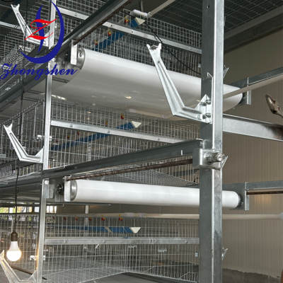 Zhongshen Poultry Manure Conveyor Belt – Poultry Manure Cleaning System
