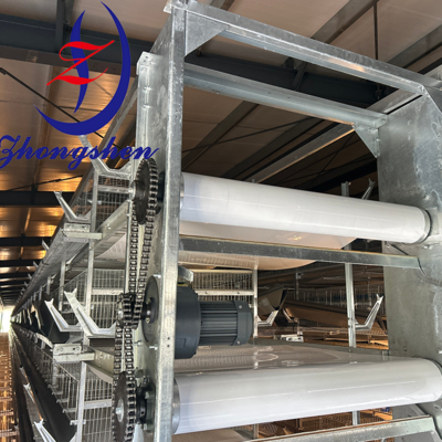 Zhongshen PP Manure Belt — CN Poultry Manure Conveyor Top Manufacturer 