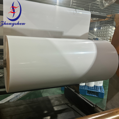 Zhongshen Premium PP/PE Manure Belt — Poultry Farm Manure Removal Belt Supplier