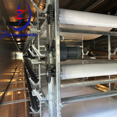 İyi bir fiyat. Zhongshen PP/PE gübre taşıyıcı kemeri   China Best Poultry Manure Belt Manufacturer çevrimiçi