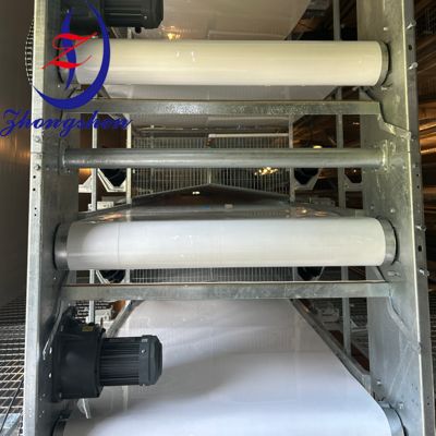 良い値段 Zhongshen 製のカスタマイズされた家禽 PP/PE 糞尿除去ベルト オンライン