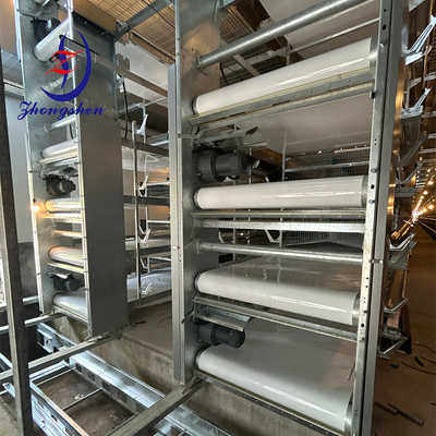 Dobra cena. Zhongshen Premium PP/PE pas przenośnika nawozu dla hodowli drobiu w Internecie