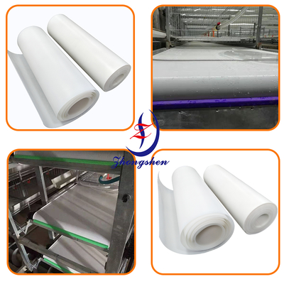Chicken Coop PP material Manure Conveyor Belt for Poultry Chicken Cage