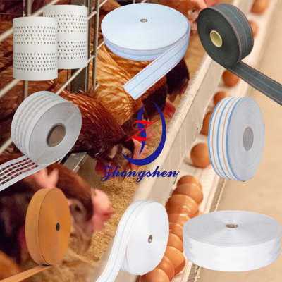 Zhongshen Egg Collection Belt 1.1-1.3mm Thickness for Poultry Layer Cage
