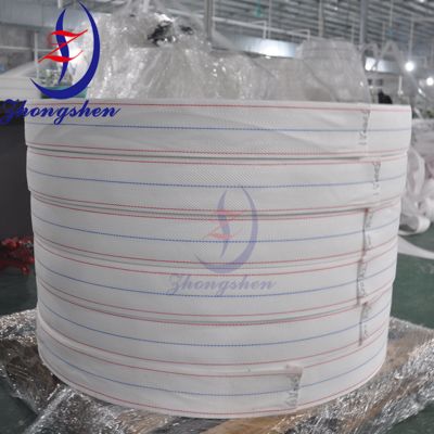 Giá tốt. Zhongshen Premium PP Egg Conveyor Belts For Layer Chicken Cage trực tuyến