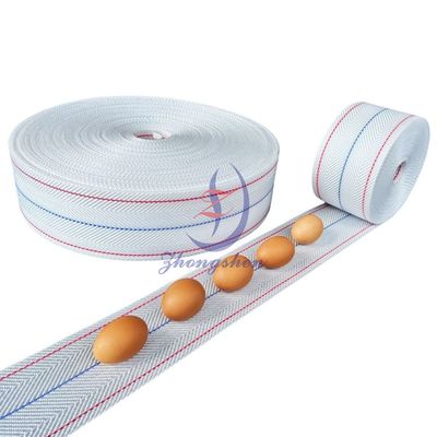 Băng tải trứng gia cầm Zhongshen cho trang trại gà đẻ, vận chuyển trứng an toàn và giảm thiểu vỡ