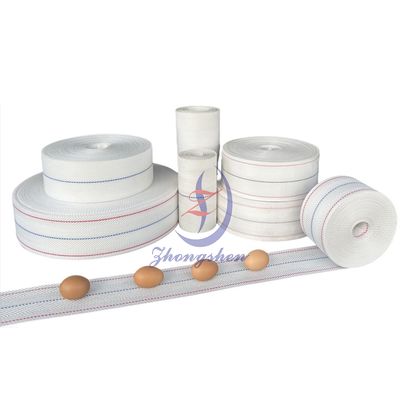 Buen precio Transportador de huevos de fabricante fuente China para sistema de recolección de huevos en gallinero en línea