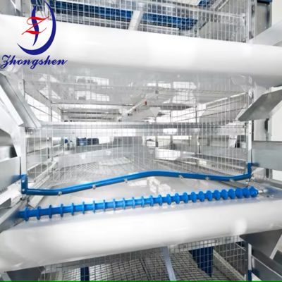 Good price Customization Poultry PP/PE Manure Removal Belts from Zhongshen online