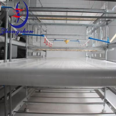 Giá tốt. Vành đai làm sạch phân bón Zhongshen PP cho chuồng gà gà trực tuyến