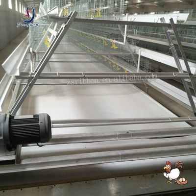 Good price Chicken Cage PP Poultry Breeding Customized Manure Cleaning Belt online