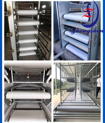 ভালো দাম Manure Removal Cleaning Belt For Poultry Farm Equipment Broiler/Layer Chicken Cage অনলাইন