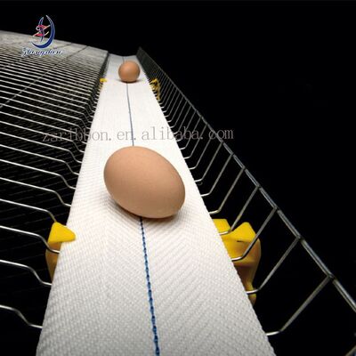 Harga yang bagus Sabuk Pengangkut Telur Panjang yang Dapat Dikustomisasi dengan Tingkat Keruntuhan Telur Lebih Rendah dari 0,3% dan Umur Pelayanan yang Panjang untuk Kandang Ayam Lapisan Ayam on line