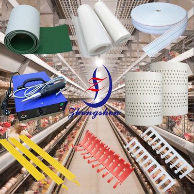 Giá tốt. Vành đai phân gia súc gia cầm chống vi khuẩn polypropylene Zhongshen và dây chuyền vận chuyển trứng có kích thước tùy chỉnh trực tuyến