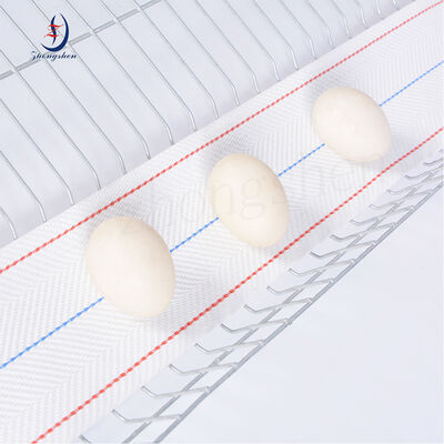 Good price Factory Direct Sale PP Egg Conveyor Belt with Customized Length, Lower than 0.3% Egg Broken Rate, and 1.0-1.3mm Thickness for Chicken Farms online