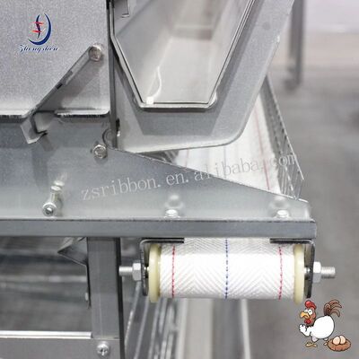 Giá tốt. Băng tải trứng Polypropylene tùy chỉnh với tỷ lệ vỡ trứng thấp cho trang trại gia cầm trực tuyến