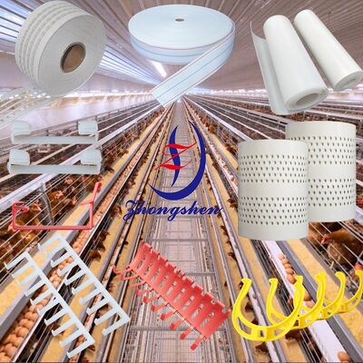 ราคาดี Zhongshen New PP5 Polypropylene Poultry Manure Belt ที่มีอัตราการแตกไข่ต่ํากว่า 0.3% และความยาวความกว้างที่กําหนดเอง ออนไลน์