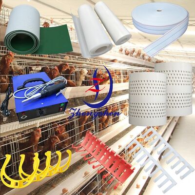 Harga yang bagus Sabuk Kotoran Unggas PP Zhongshen dengan Desain Berlubang Kekuatan Tinggi dan Panjang yang Dapat Disesuaikan untuk Kandang Ayam on line